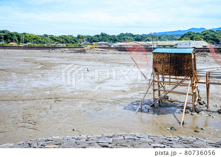 有明海の干潟　くもで網漁　櫓　佐賀県鹿島市 80736056