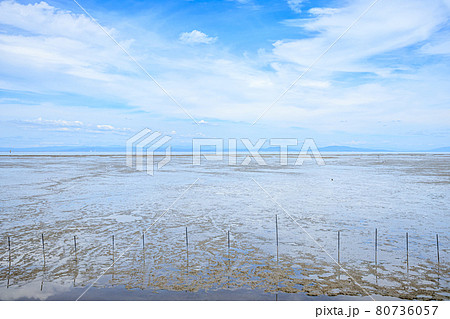有明海の干潟 佐賀県鹿島市 有明海の干潟 佐賀県鹿島市 80736057