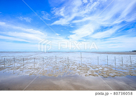 有明海の干潟 佐賀県鹿島市 有明海の干潟 佐賀県鹿島市 80736058