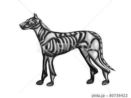 abstract wolf 80736422