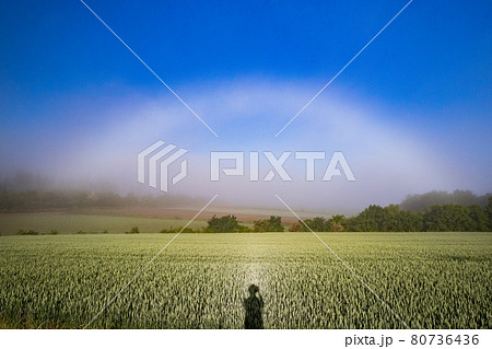 【北海道美瑛町】畑にかかる白虹　6月 80736436