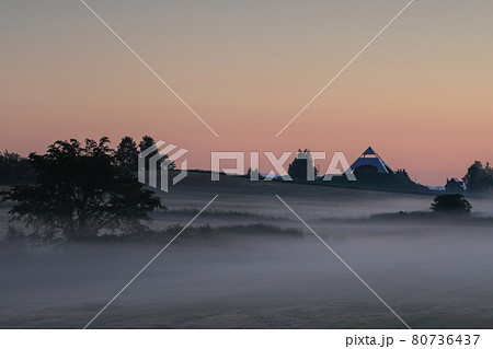 【北海道美瑛町】朝霧が漂う丘の風景　6月 80736437