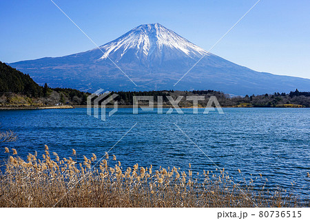 田貫湖から見渡す冬の富士山 田貫湖から見渡す冬の富士山 80736515