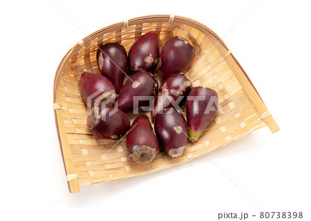 ウチワサボテンの実 ウチワサボテンの実 80738398