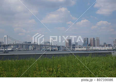 豊洲市場屋上緑化広場と東京レインボーブリッジ 豊洲市場屋上緑化広場と東京レインボーブリッジ 80739086