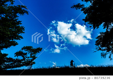 京都府八幡市背割り堤で虫取りをする兄弟を撮影 京都府八幡市背割り堤で虫取りをする兄弟を撮影 80739236