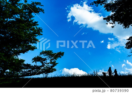 京都府八幡市背割り堤で虫取りをする兄弟を撮影 京都府八幡市背割り堤で虫取りをする兄弟を撮影 80739390