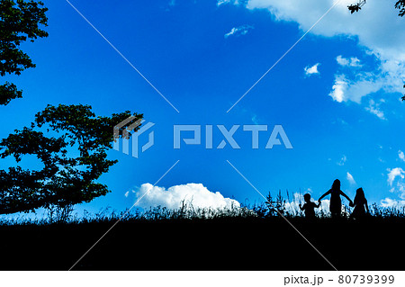 京都府八幡市背割り堤で虫取りをする兄弟を撮影 80739399