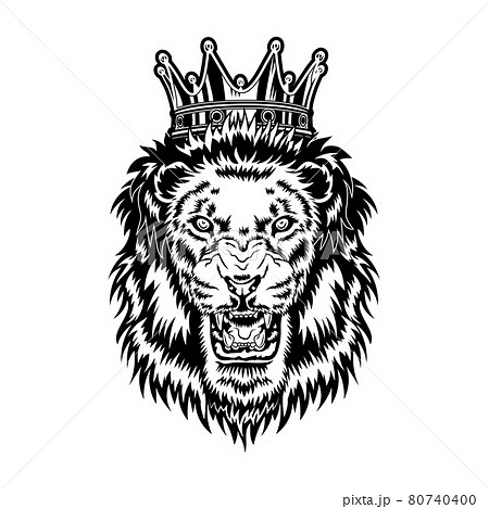 Lion king vector illustration 80740400