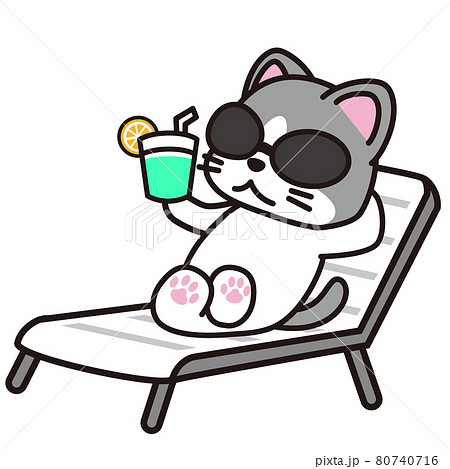 ビーチチェアに寝転んで日光浴する猫のイラスト素材