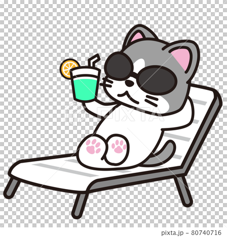 Cat lying on a beach chair and sunbathing 80740716