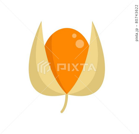 Golden berry icon flat isolated vector Golden berry icon flat isolated vector 80743622