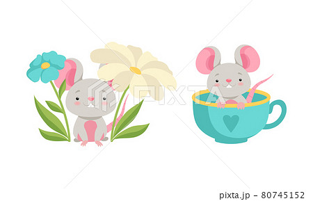 Cute Grey Mouse Character Sitting in Huge Cup and Under Flowers Vector Set Cute Grey Mouse Character Sitting in Huge Cup and Under Flowers Vector Set 80745152