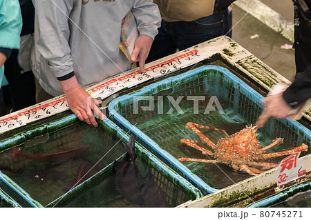 【魚市場 タカアシガニの競り】 【魚市場 タカアシガニの競り】 80745271