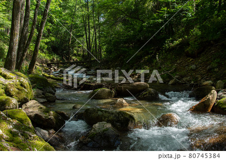 梓川の景色/長野県川上村 梓川の景色/長野県川上村 80745384