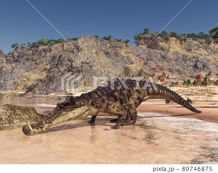 Prehistoric crocodile Kaprosuchus in a coastal landscape 80746875