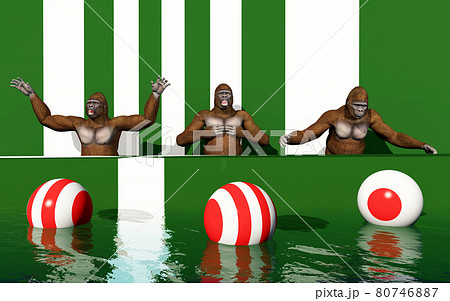 Three gorillas on a podium 80746887