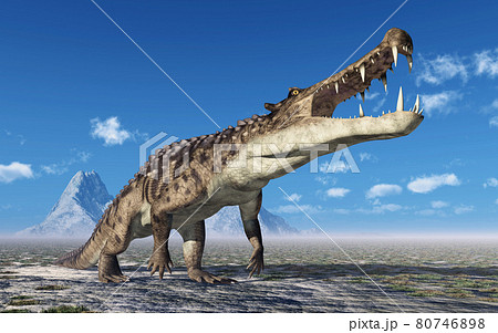 Prehistoric crocodile Kaprosuchus in a landscape 80746898