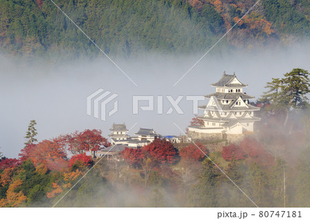 【郡上八幡城】紅葉に浮かぶ天空の城 80747181