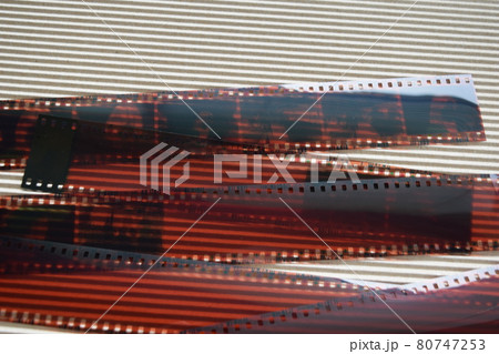 写真 ネガフィルム 80747253