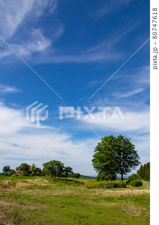 大厳寺高原　牧場 80747618