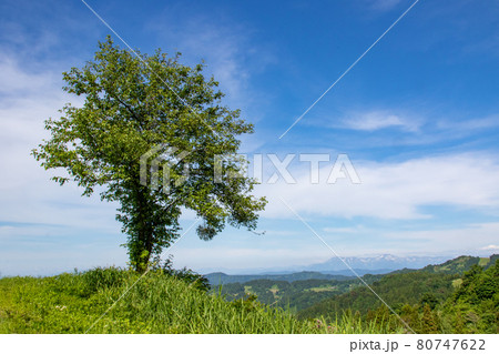 大厳寺高原から越後三山遠望 80747622