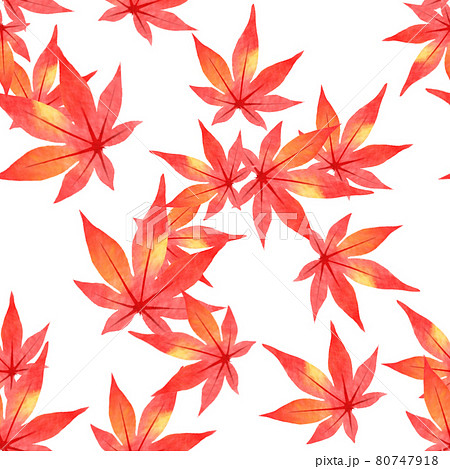 紅葉（シームレス） 80747918