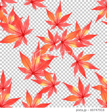紅葉（シームレス） 80747918