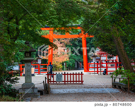 京都　下鴨神社　南口鳥居 80748600