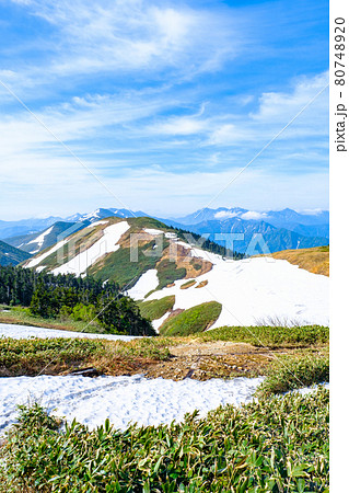 初夏の巻機山登山(井戸尾根コース):前巻機山~巻機山の風景 初夏の巻機山登山(井戸尾根コース):前巻機山~巻機山の風景 80748920