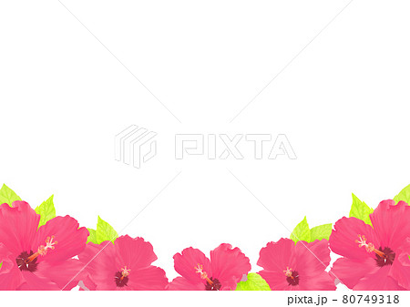 ハイビスカスのシンプルな背景素材のイラスト素材