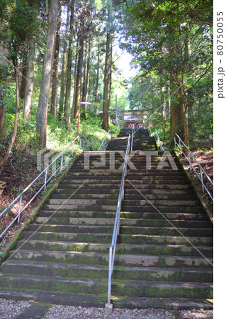幣立神社と幣立神社の森 幣立神社と幣立神社の森 80750055