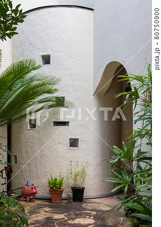 白いおしゃれな家の玄関の植木と豚とカエルの置物の写真素材