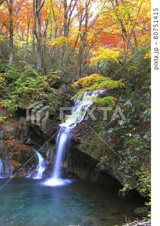 秋のあだたら渓谷(福島県・二本松市) 秋のあだたら渓谷(福島県・二本松市) 80751415
