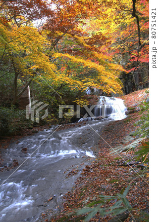 秋のあだたら渓谷（福島県・二本松市） 80751421
