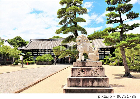 誉田八幡宮 80751738