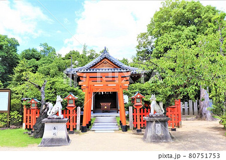 誉田八幡宮 誉田八幡宮 80751753
