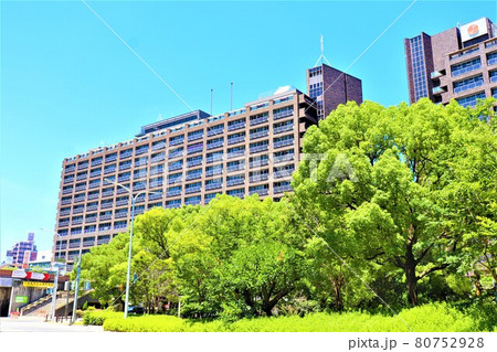 兵庫県庁 80752928