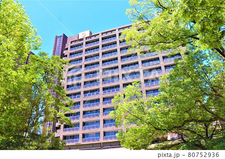 兵庫県庁 兵庫県庁 80752936