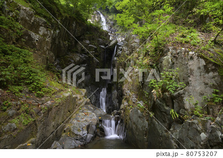 布滝(兵庫県養父市福定) 布滝(兵庫県養父市福定) 80753207