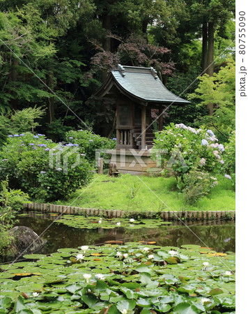 本土寺の弁天堂【千葉県松戸市長谷山本土寺にて】 80755090