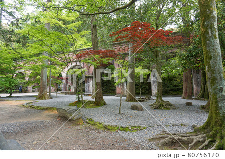 京都 新緑の季節の南禅寺 水路閣 京都 新緑の季節の南禅寺 水路閣 80756120