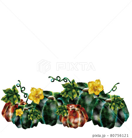 かぼちゃ 80756121