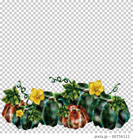 かぼちゃ 80756121