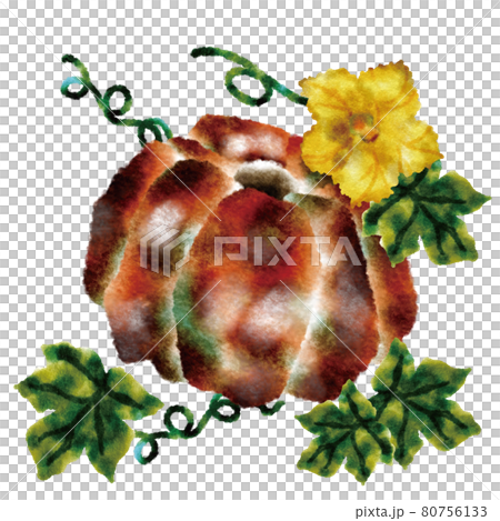 pumpkin pumpkin 80756133