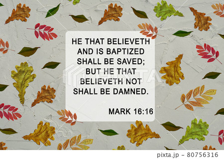 Bible quote in frame with colorful yellow green autumn leaves background. Inspiration Christian praying verse. 80756316