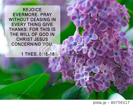 Bible quote on lilac flower background. Inspiration Christian praying verse.Rejoice evermore. Pray without ceasing. 80756317