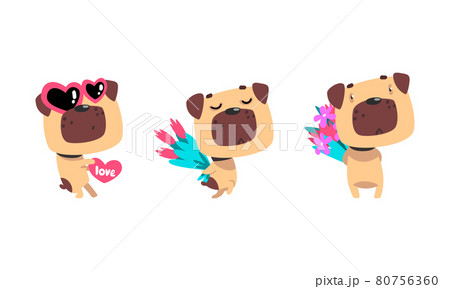 Funny Pug Dog with Flower Bouquet and Valentine Heart Vector Set Funny Pug Dog with Flower Bouquet and Valentine Heart Vector Set 80756360