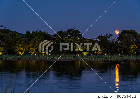 京都府京都市　大覚寺の観月の夕べで大沢池の上に出た中秋の名月 80756423