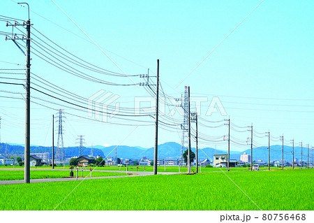 電柱 電柱と田園 夏の風景 電柱 電柱と田園 夏の風景 80756468